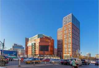 河北朗盛MACROLEX RED E2G GRAN溶剂染料厂家现货