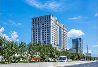 室内植物出租送货上门